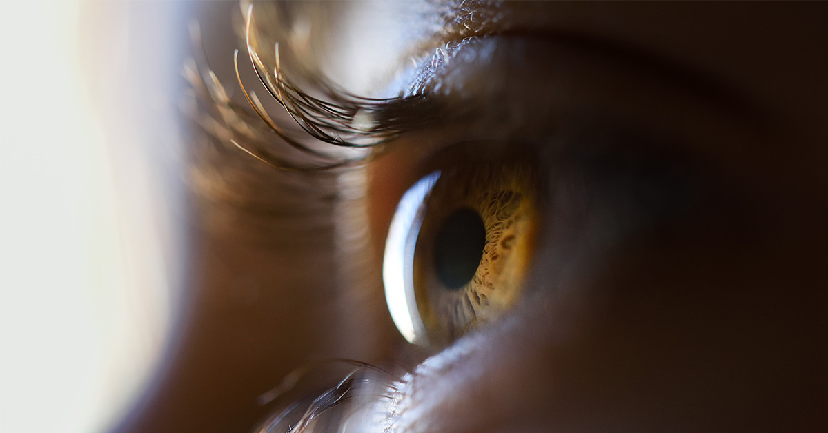 ¿Cuáles son los tipos de prótesis oculares?